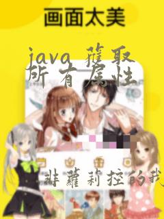 java 获取所有属性