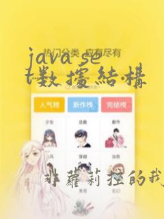 java set数据结构