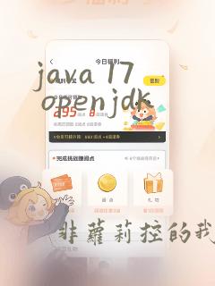 java 17 openjdk