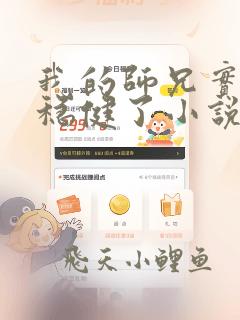我的师兄实在太稳健了小说免费