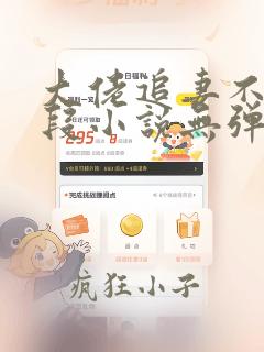 大佬追妻不择手段小说无弹窗最新章节