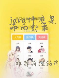java什么是面向对象
