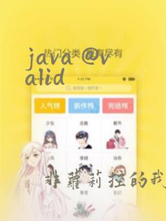 java @valid
