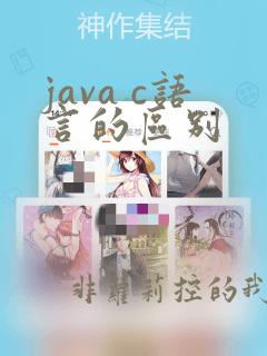 java c语言的区别