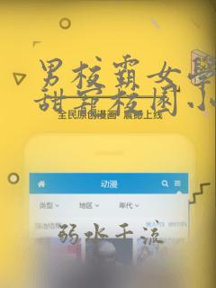 男校霸女学霸的甜宠校园小说