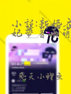 小说:新婚夜医妃带着两萌宝炸了王府