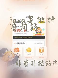 java是做什么用的
