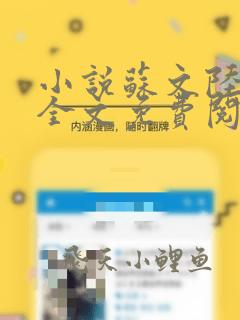 小说苏文陆晚风全文免费阅读最新章节