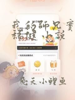 我的师兄实在太稳健 小说