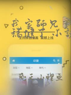 我家师兄实在太稳健了 小说