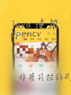 java 使用opencv