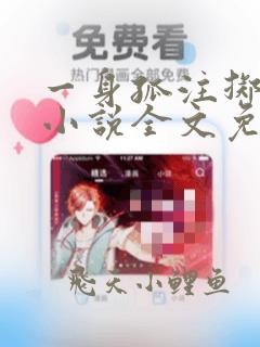 一身孤注掷温柔小说全文免费阅读