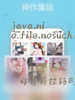 java.nio.file.nosuchfileexception: