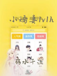 小娇妻1v1h