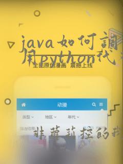 java如何调用python代码
