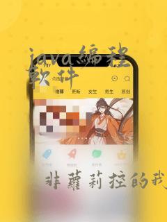 java编程 软件