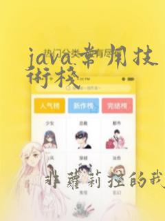 java常用技术栈