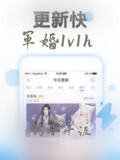 军婚1v1h