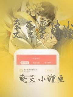 至死靡他小说全文免费阅读笔趣阁