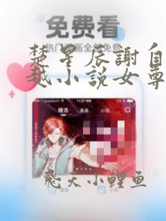 楚星辰谢自清穿越小说女尊免费阅读