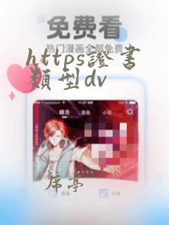 https证书类型dv