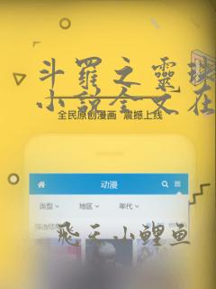 斗罗之灵珠神剑小说全文在线阅读
