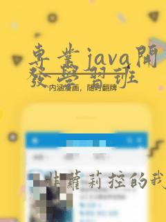 专业java开发学习班