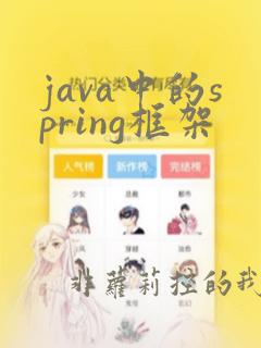java中的spring框架