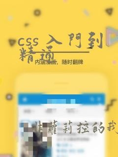 css 入门到精通