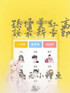 孙倩美红高义小说最新章节更新时间多少