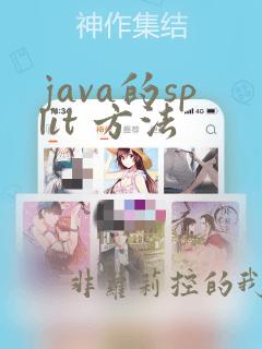 java的split 方法