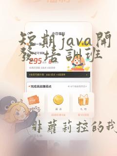 短期java开发 培训班