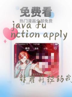 java function apply