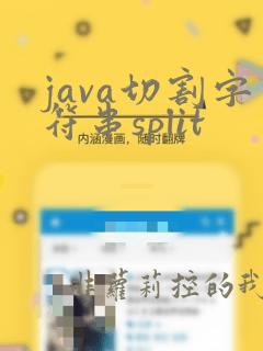 java切割字符串split