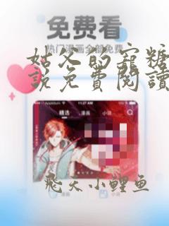 姑父的宠糖糖小说免费阅读全文