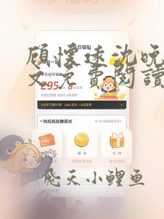 顾怀远沈晚音全文免费阅读笔趣阁