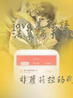 java基础语法菜鸟教程