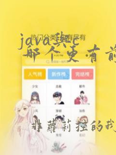 java与c 哪个更有前途