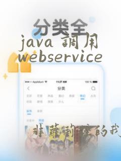 java 调用webservice