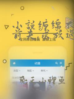 小说缠绵不休:前夫,求放过免费阅读