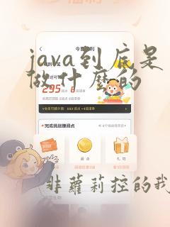 java到底是做什么的