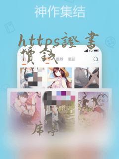 https证书价钱