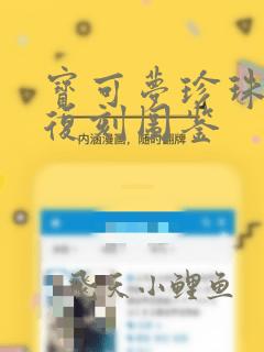 宝可梦珍珠钻石复刻图鉴