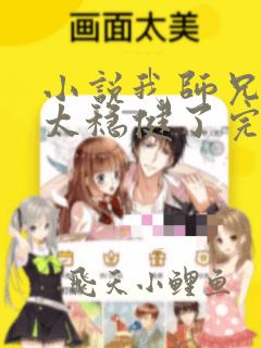小说我师兄实在太稳健了完结版