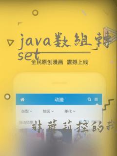 java数组转set