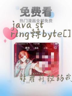 java string转byte[]