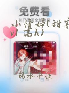 小情妇(甜宠1v1 高h)