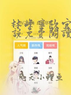 林峰宁欣官场小说免费阅读全林峰
