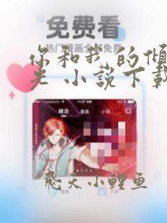 你和我的倾城时光 小说下载