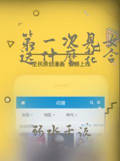 第一次见女孩子送什么花合适